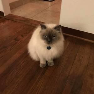 Meet your Posher, Barbra